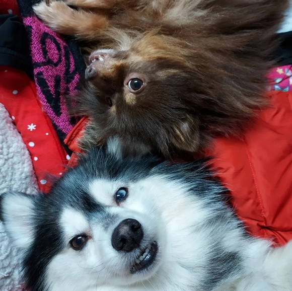 👻Meet Your Posh Ambassador, Jazz👻 - Picture 4 of 6